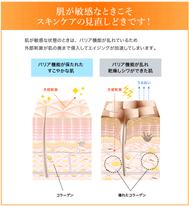 たった1ヵ月でシワ改善効果を実感しよう！ファンケル エンリッチプラスの使い方をマスター